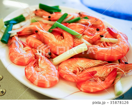 甘海老 海老 エビ 35878126