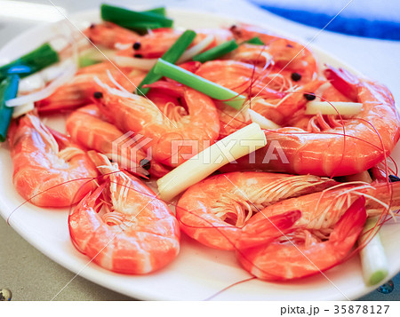 甘海老 海老 エビ 35878127