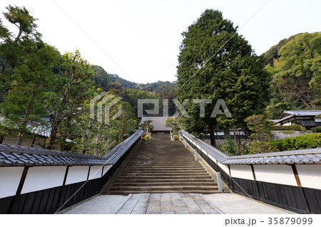 臨済寺 -駿河の戦国大名・今川家の菩提寺- 35879099
