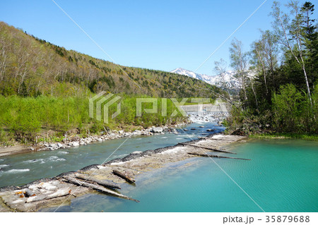 美瑛川と青い池　北海道 35879688