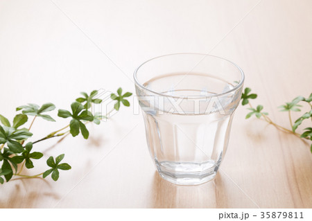 水 水 35879811