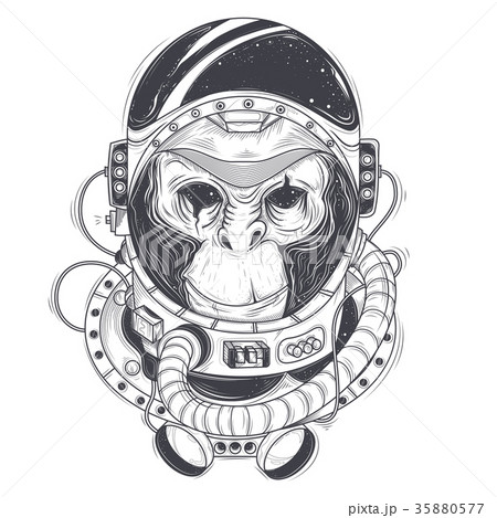 hand drawn illustration of a monkey astronaut hand drawn illustration of a monkey astronaut 35880577