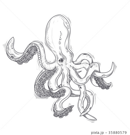 illustration of an octopus painted in an illustration of an octopus painted in an 35880579