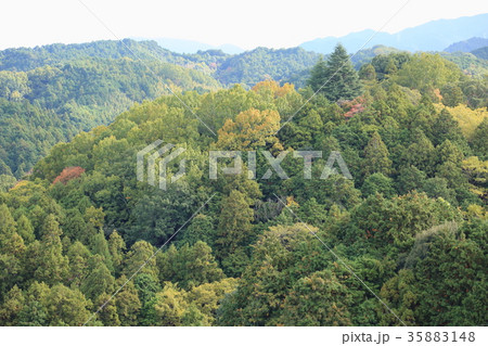 色づく里山 35883148