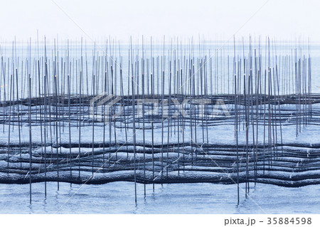 海苔網、 35884598
