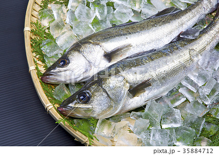 スズキ　食材 35884712