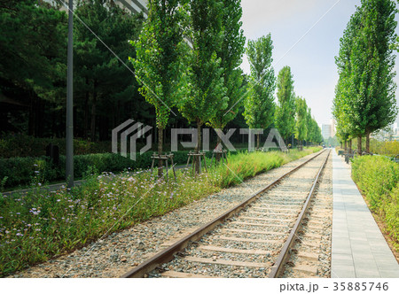 landscpae of old railway park landscpae of old railway park 35885746