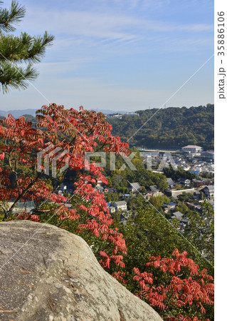 【広島県】尾道市街地の風景と紅葉 35886106