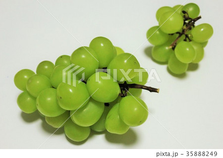 ぶどう。。。マスカット。。。 35888249