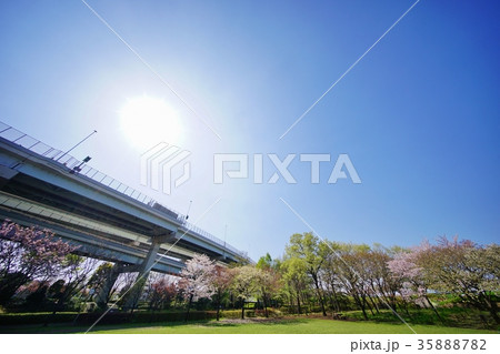 桜咲く公園 桜咲く公園 35888782