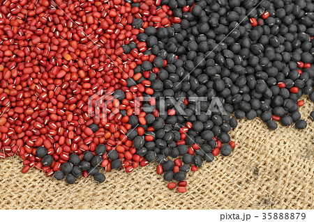 北海道産の豆、黒大豆とアズキ 35888879