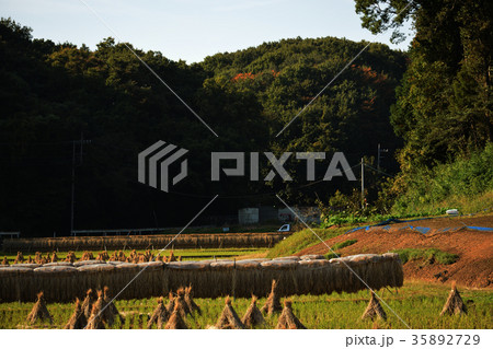 秋の田園風景/Countryside scenery in Autumn 35892729