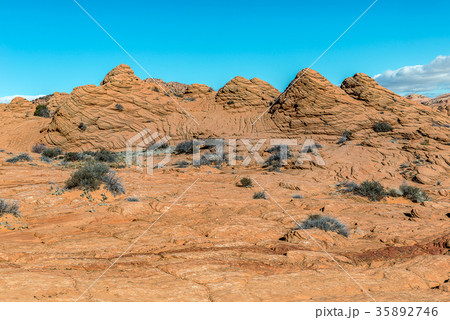 The Wave, Amazing Sandstone in Arizona 35892746