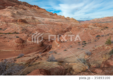 The Wave, Amazing Sandstone in Arizona 35893100