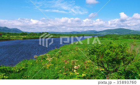道北の原野、自然　（16:9） 35893760