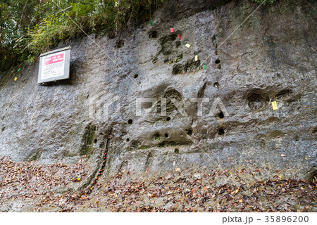 チバニアン Chibanian （千葉県市原市田淵） 2017年撮影 35896200