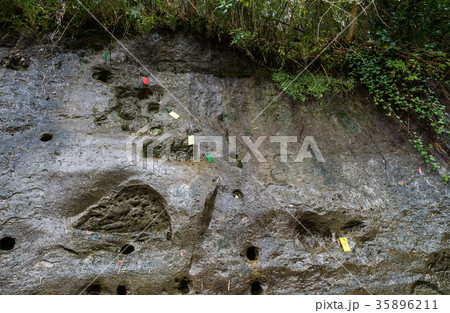 チバニアン Chibanian （千葉県市原市田淵） 2017年撮影 35896211