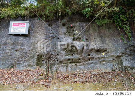 チバニアン Chibanian (千葉県市原市田淵) 2017年撮影 チバニアン Chibanian (千葉県市原市田淵) 2017年撮影 35896217