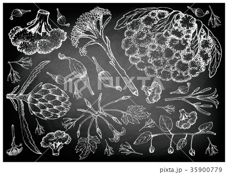 Hand Drawn of Podded Vegetables on Chalkboard 35900779