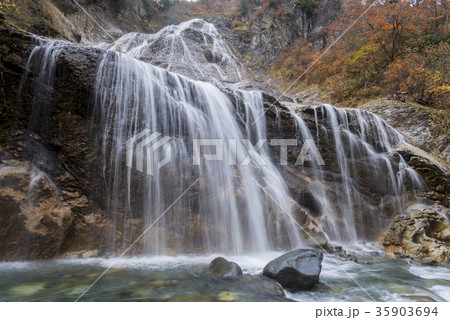 秋彩の姥ヶ滝 35903694