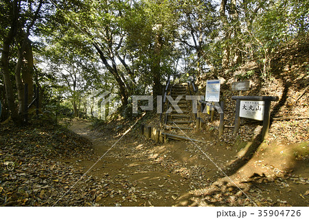 横浜市最高峰、秋の大丸山分岐点 35904726