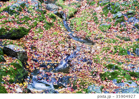 紅葉 韓国 ベクアムサン 35904927
