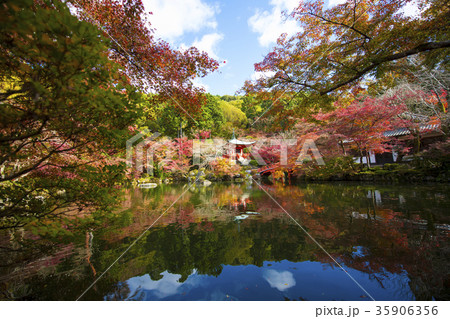 秋の醍醐寺 秋の醍醐寺 35906356