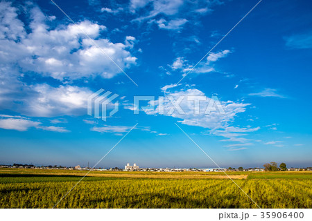 稲刈り後の田園風景と秋の空 川越市 稲刈り後の田園風景と秋の空 川越市 35906400