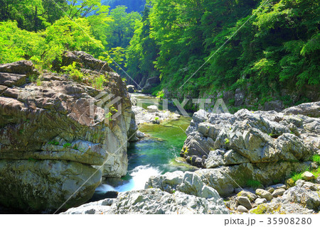 夏の秋川渓谷(東京都) 夏の秋川渓谷(東京都) 35908280