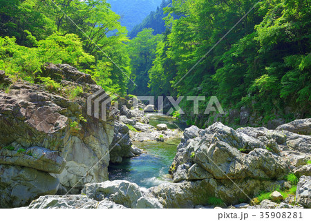 夏の秋川渓谷(東京都) 夏の秋川渓谷(東京都) 35908281