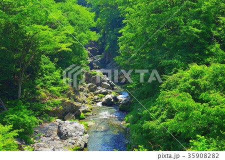 夏の秋川渓谷（東京都） 35908282