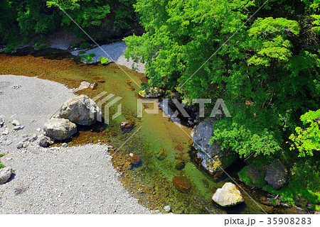 夏の秋川渓谷（東京都） 35908283