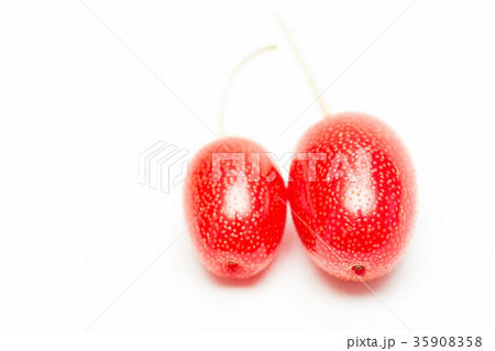 ビックリグミ 35908358