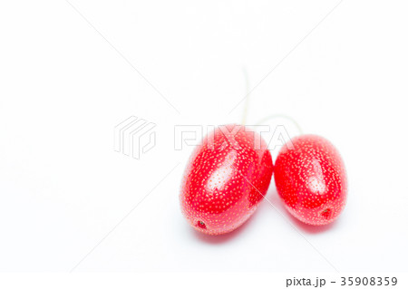 ビックリグミ 35908359