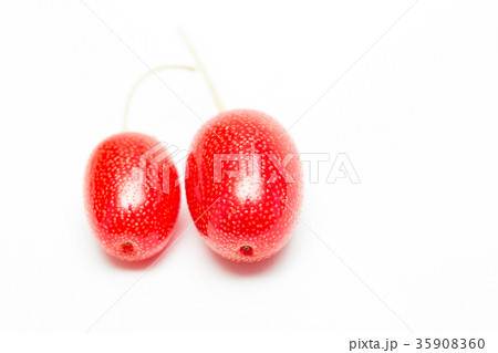 ビックリグミ 35908360