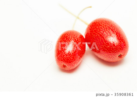 ビックリグミ 35908361