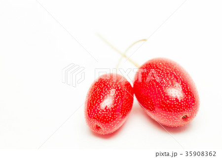 ビックリグミ 35908362