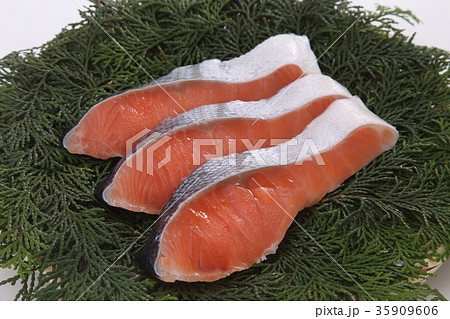 鮭の切り身 35909606