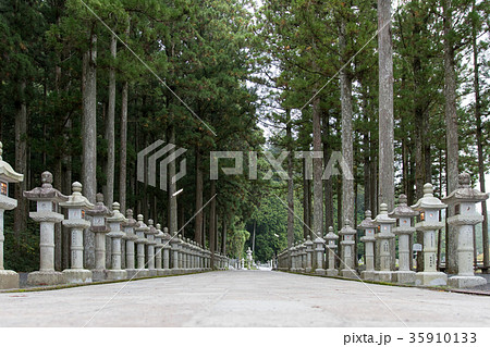 高野山 奥の院参道の写真素材