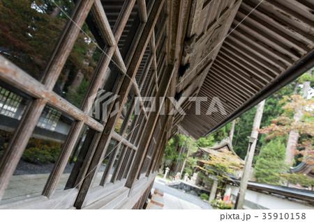 高野山 奥の院参道 35910158