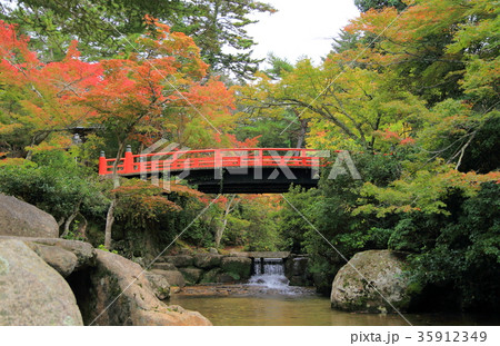 紅葉谷hanako2 35912349