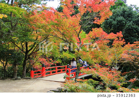 紅葉谷 35912363