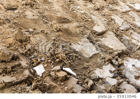 住宅の解体工事　瓦屋根 35913046