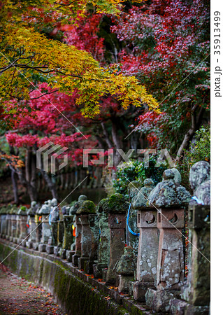 五百羅漢 35913499