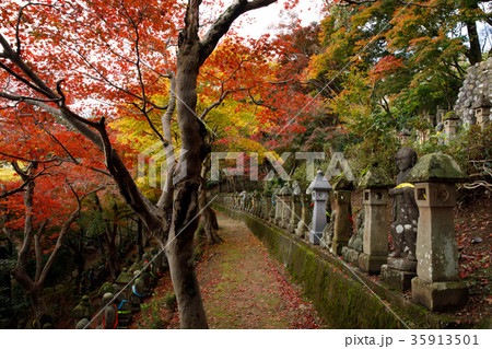 五百羅漢 五百羅漢 35913501