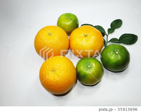 yellow and green citrus fruits on white background 35913696