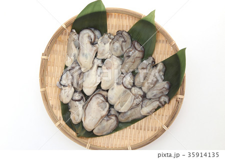 牡蠣 牡蠣 35914135