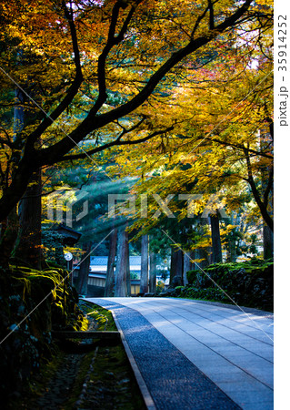 永平寺 永平寺 35914252