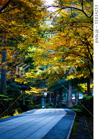 永平寺 永平寺 35914253