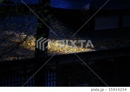 永平寺 永平寺 35914254